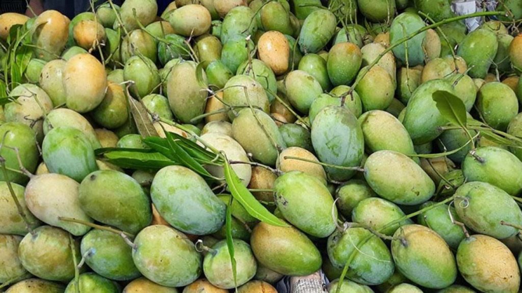 আম উৎপাদনকারী দেশগুলোর মধ্যে বাংলাদেশে সপ্তম