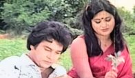 ববিতা যখন জানলেন জাফর ইকবালের ক্যানসার…