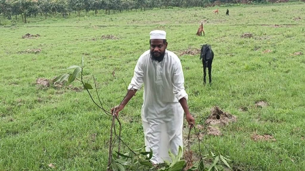 সাপাহারে জমি দখলচেষ্টা ও প্রাণনাশের হুমকির অভিযোগ