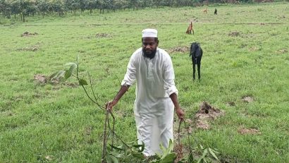 সাপাহারে জমি দখলচেষ্টা ও প্রাণনাশের হুমকির অভিযোগ