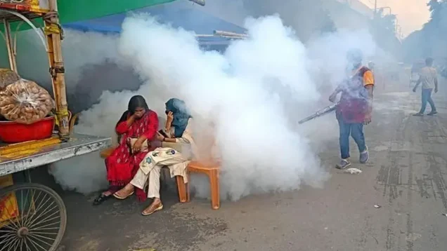 ঢাকার বাইরে বাড়ছে ডেঙ্গুর দাপট