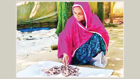 জর্দার কৌটায় এক দশক টাকা জমিয়েছেন, খুলে দেখেন সব শেষ