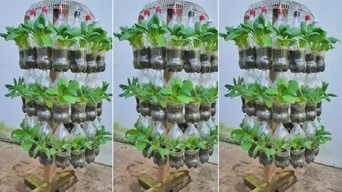 আট লাখ হেক্টর চরভূমিতে বদলে যাচ্ছে দুই কোটি