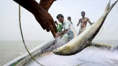 সারা দেশে ২২ দিন ইলিশ ধরা নিষেধ
